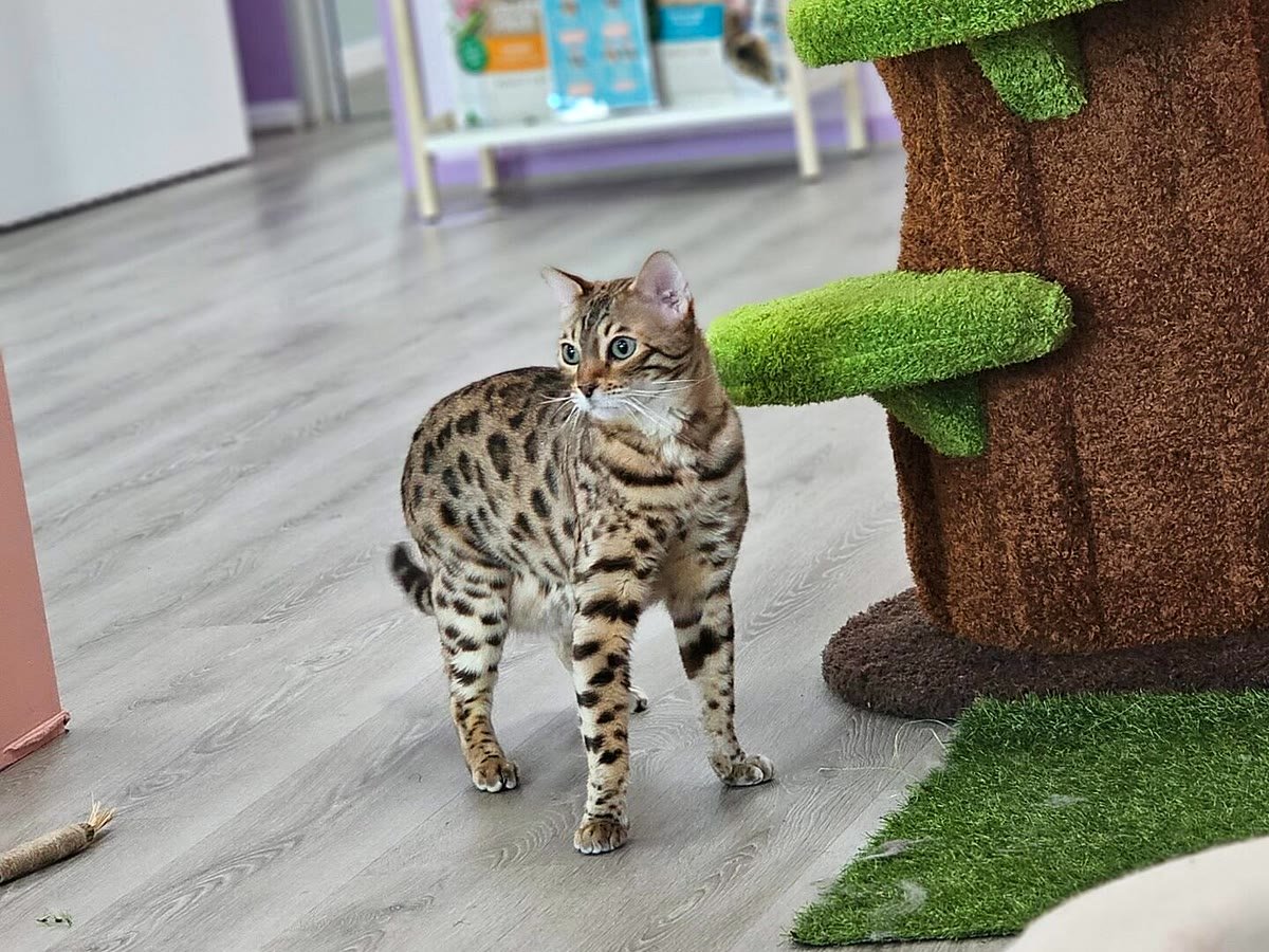 Explore and play