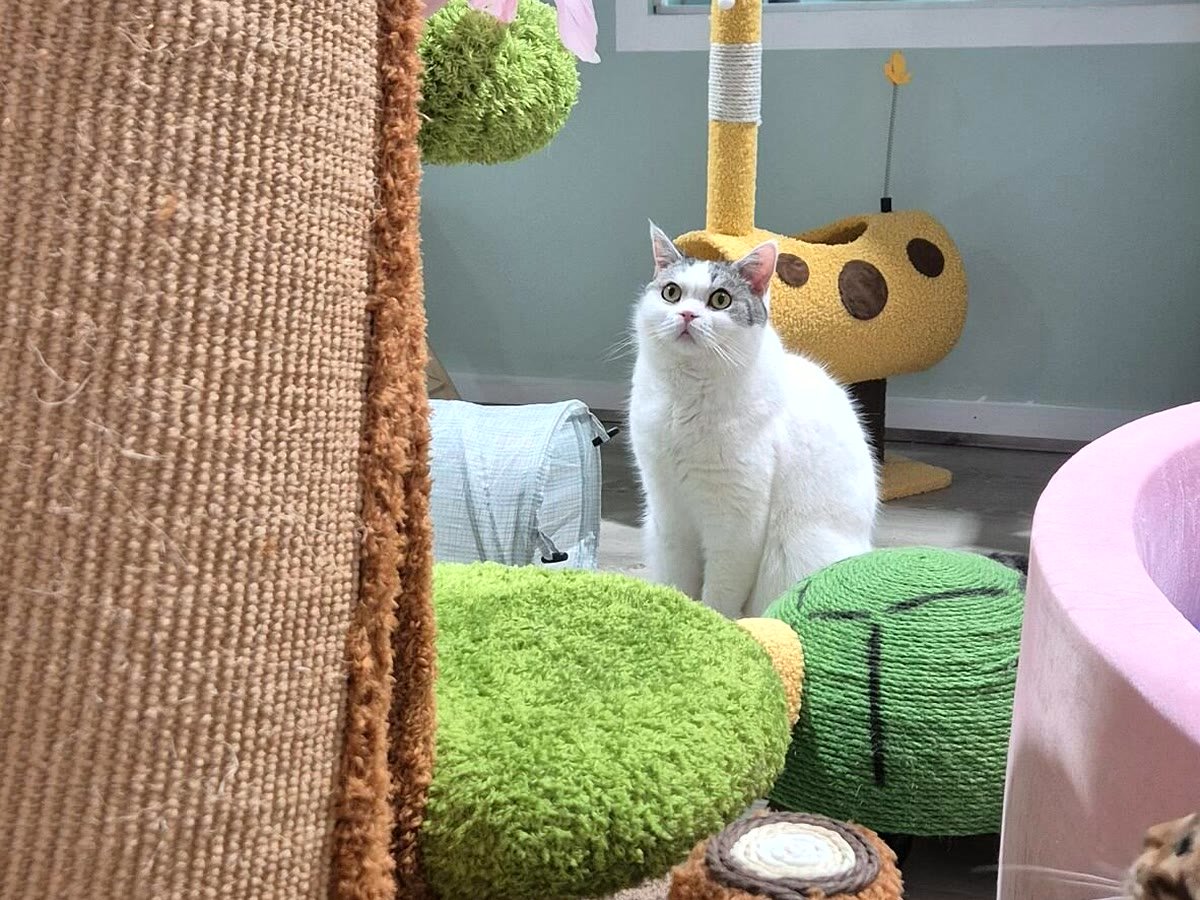 On the lookout