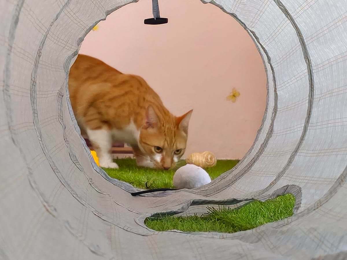 Exploring the playroom