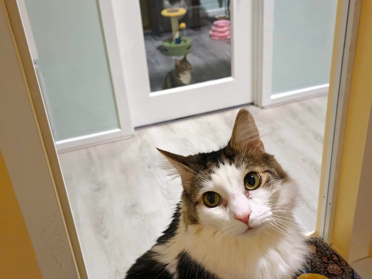 Say hello!