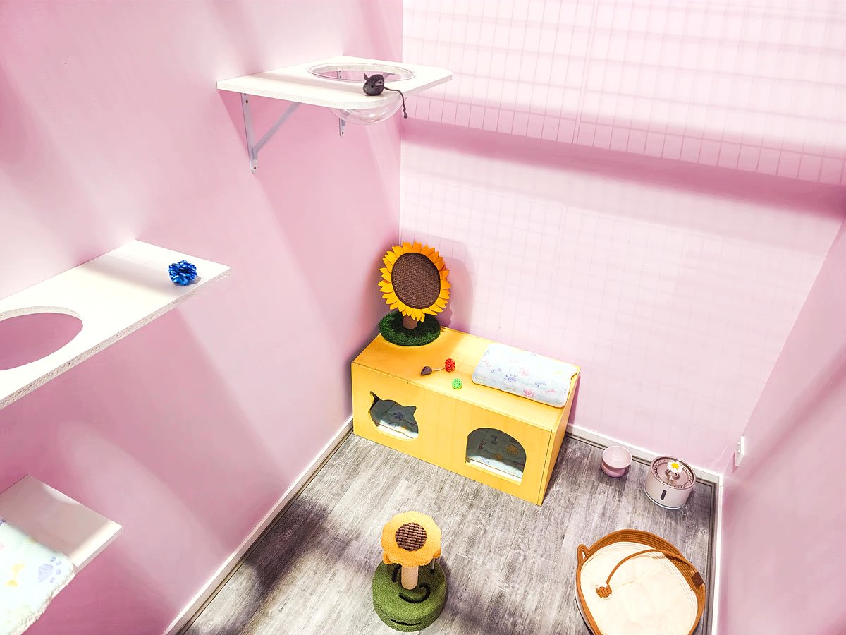 Deluxe Villa — empty room at Neko Cat Hotel