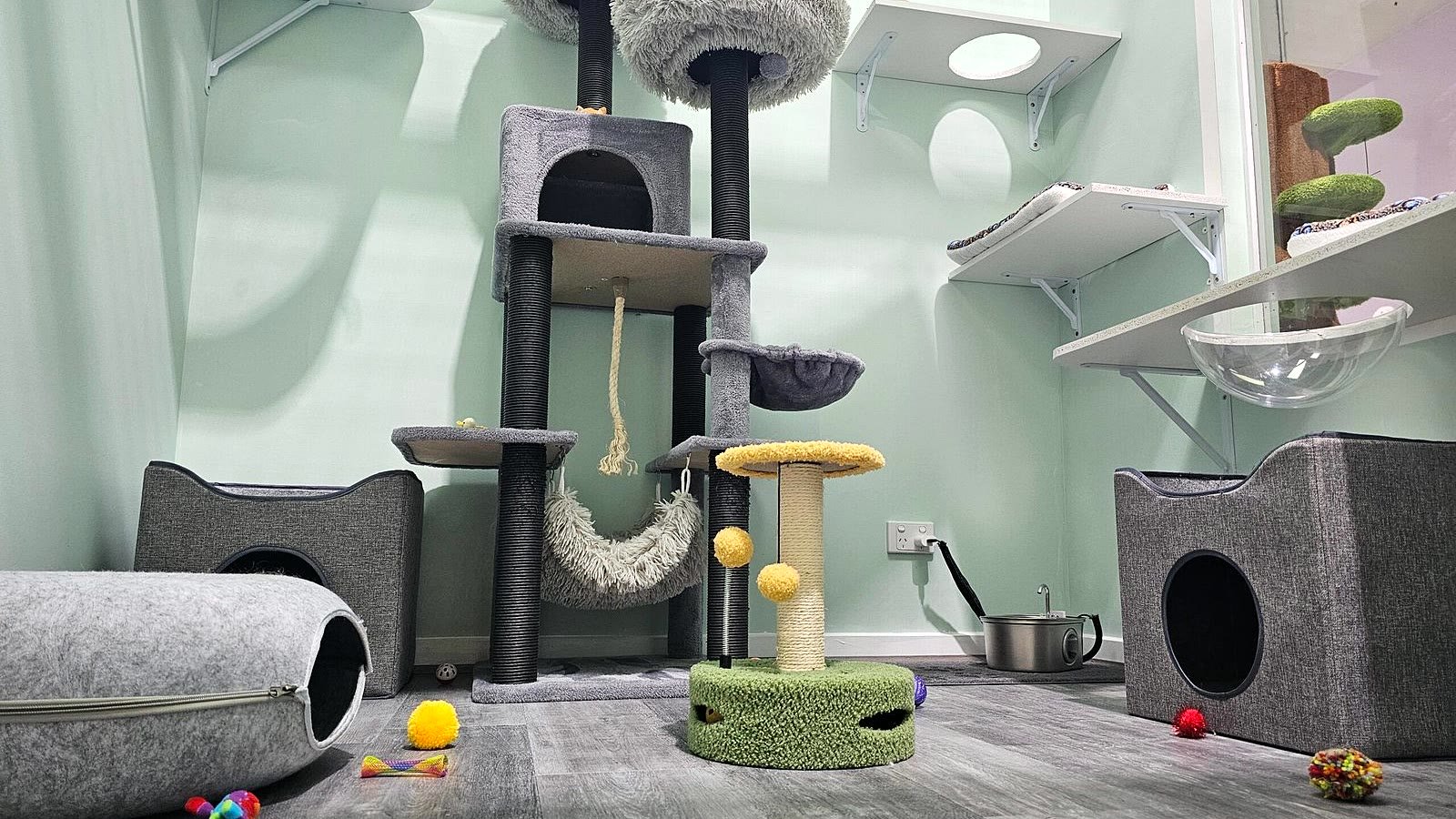Executive Suite — with resident cat at Neko Cat Hotel