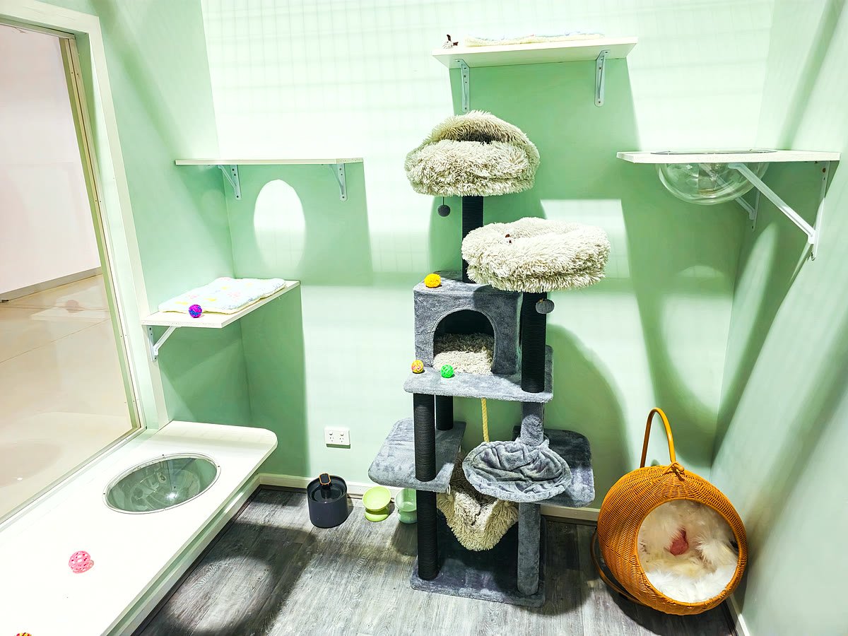 Executive Suite — empty room at Neko Cat Hotel