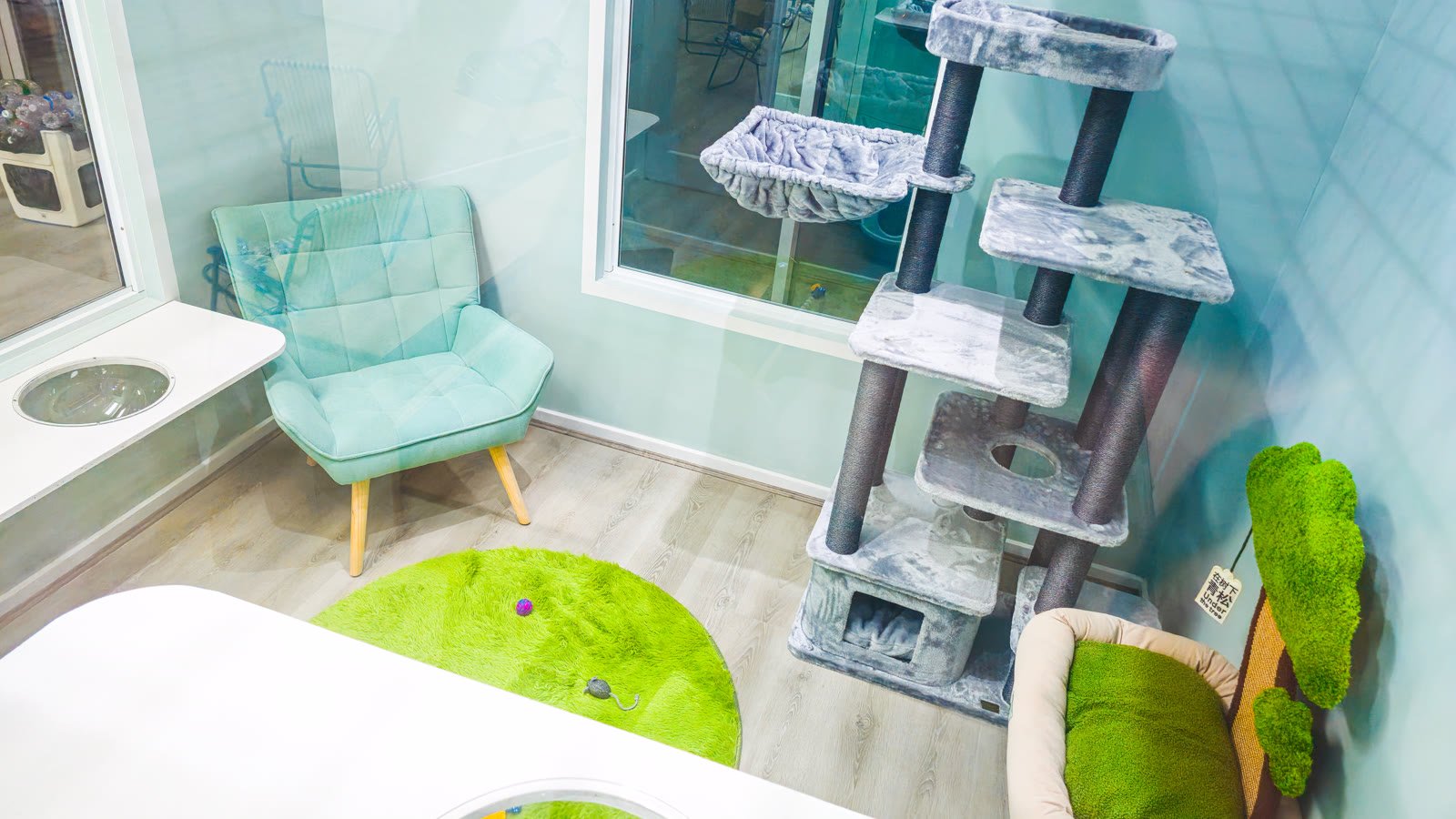 Presidential Suite — Teal room at Neko Cat Hotel, Derrimut