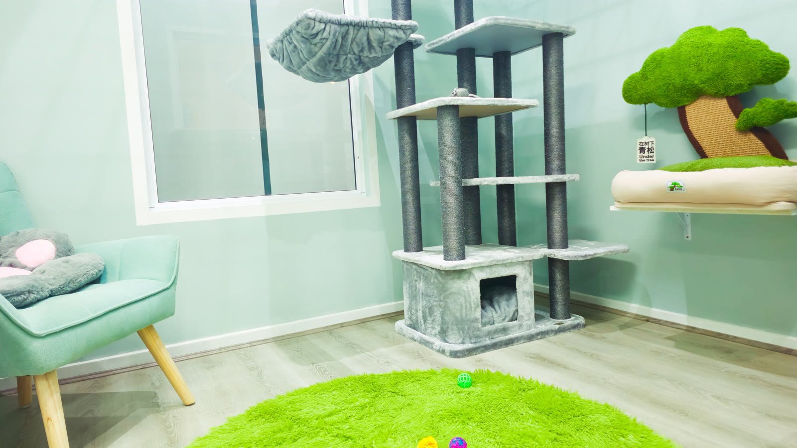 Presidential Suite — Teal room cat tree at Neko Cat Hotel, Derrimut