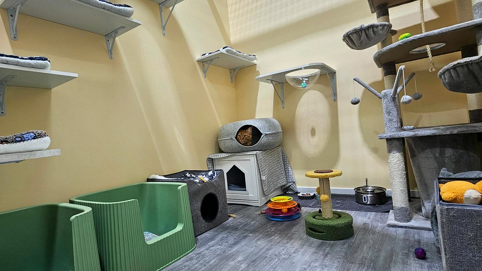 VIP Room climbing tower detail at Neko Cat Hotel