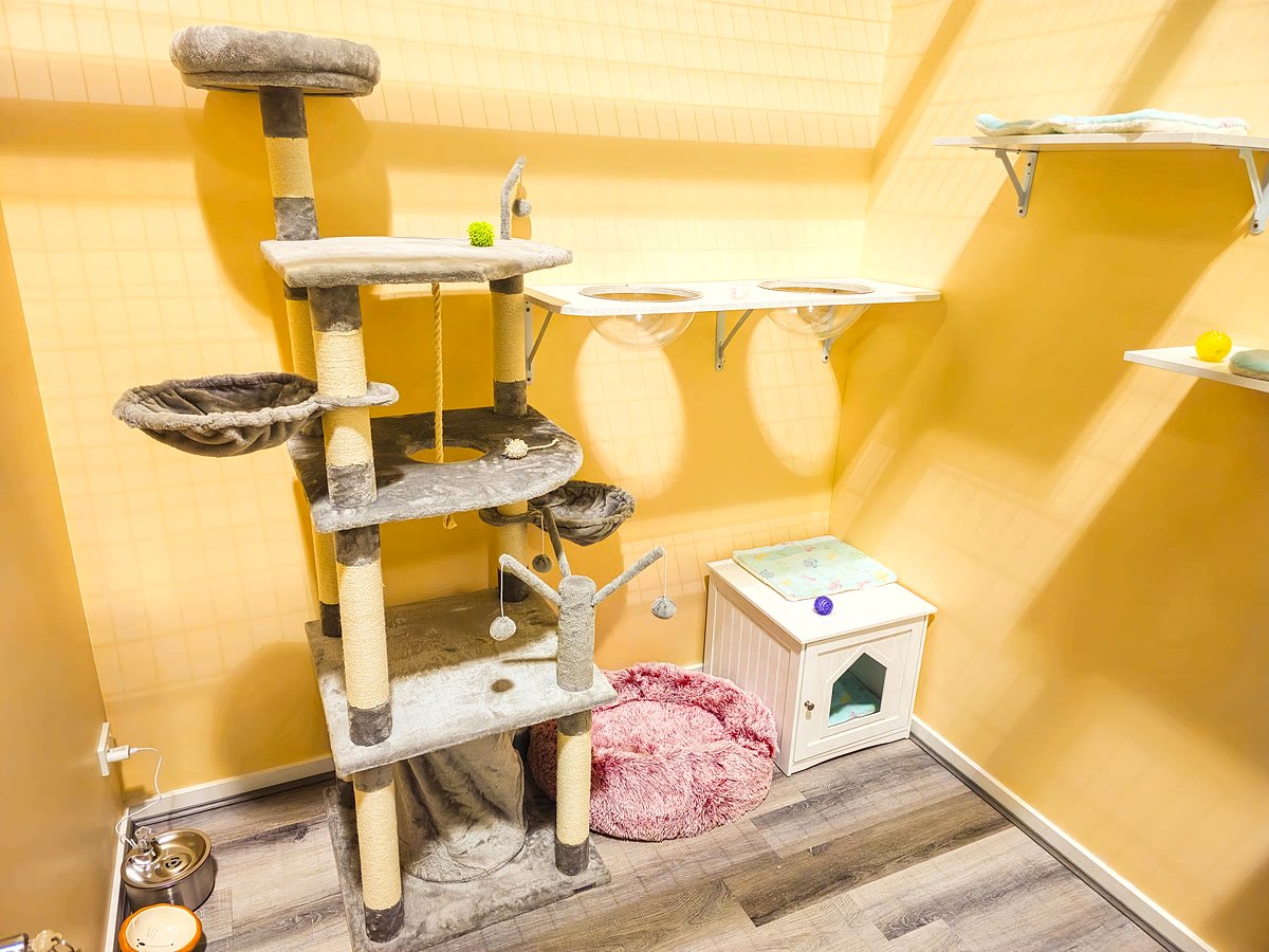 VIP Room — empty room at Neko Cat Hotel